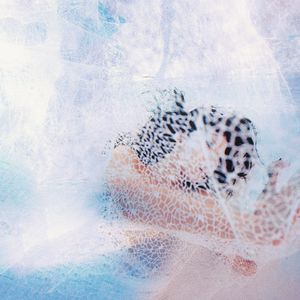 新婚H圆房～H嗯啊1V1
